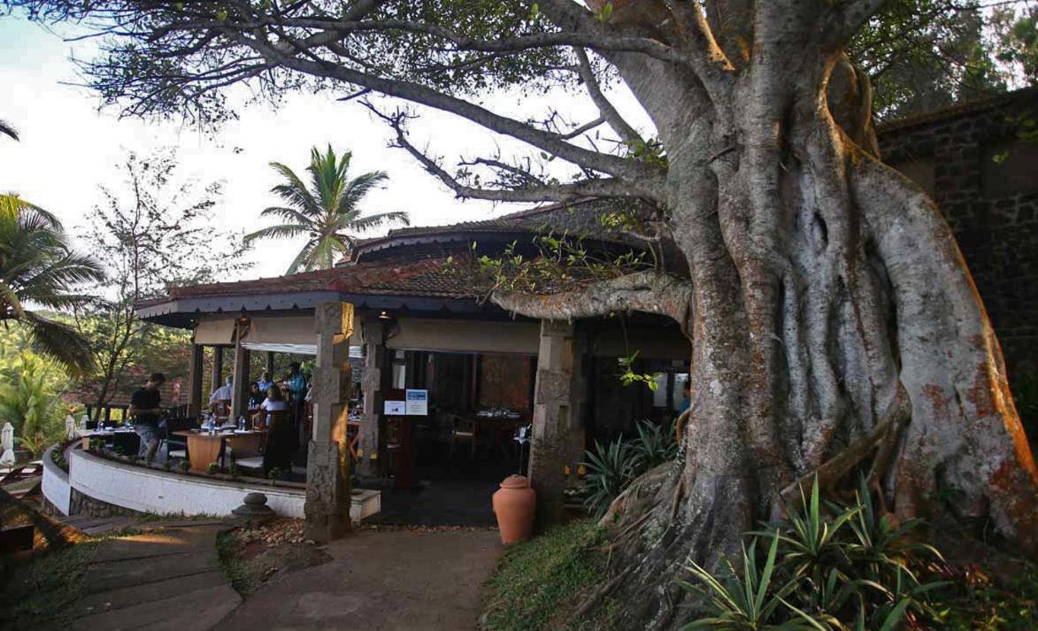 Niraamaya Wellness Retreats, Surya Samudra, Kovalam Exteriör bild