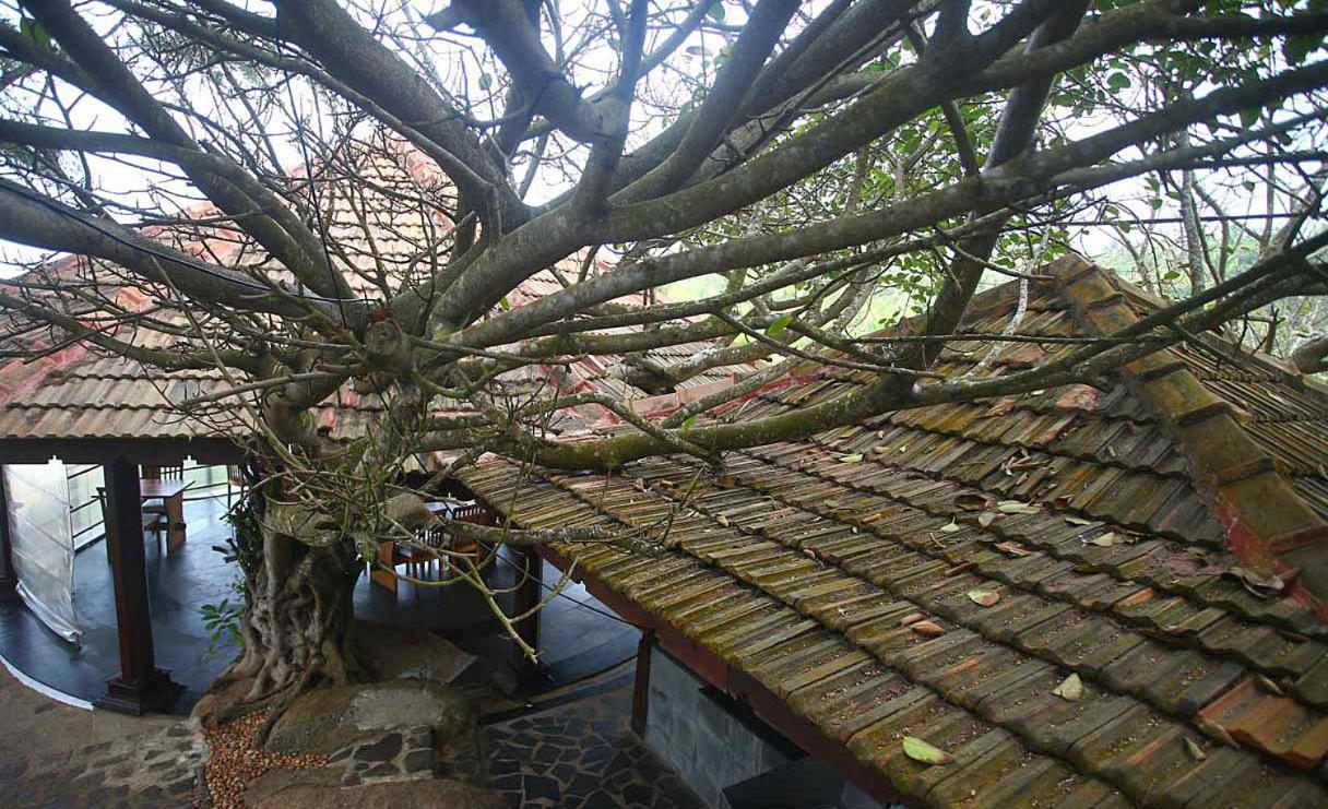 Niraamaya Wellness Retreats, Surya Samudra, Kovalam Exteriör bild